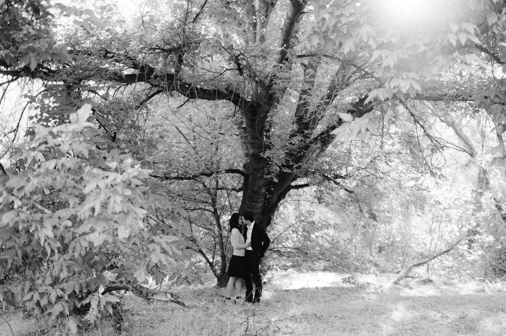 couple embracing under oak tree malibu creek state park