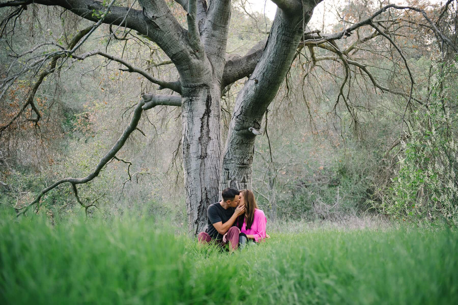 couple embracing under oak tree in tall green grass caspers wilderness engagement photo
