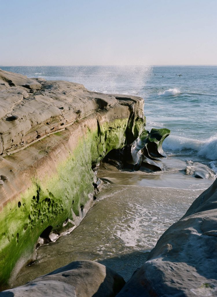 rocks algae waves crashing intimate windansea beach wedding