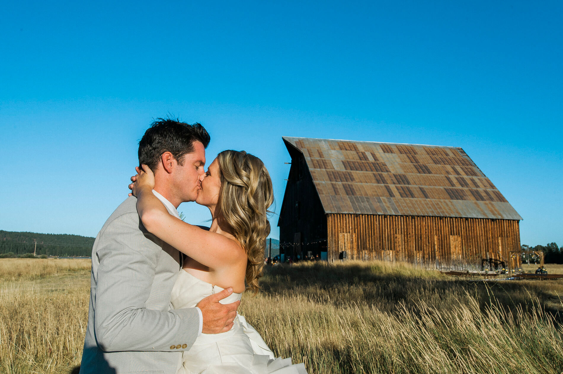 bride and groom kissing in field with rustic barn in background lake almanor destination wedding