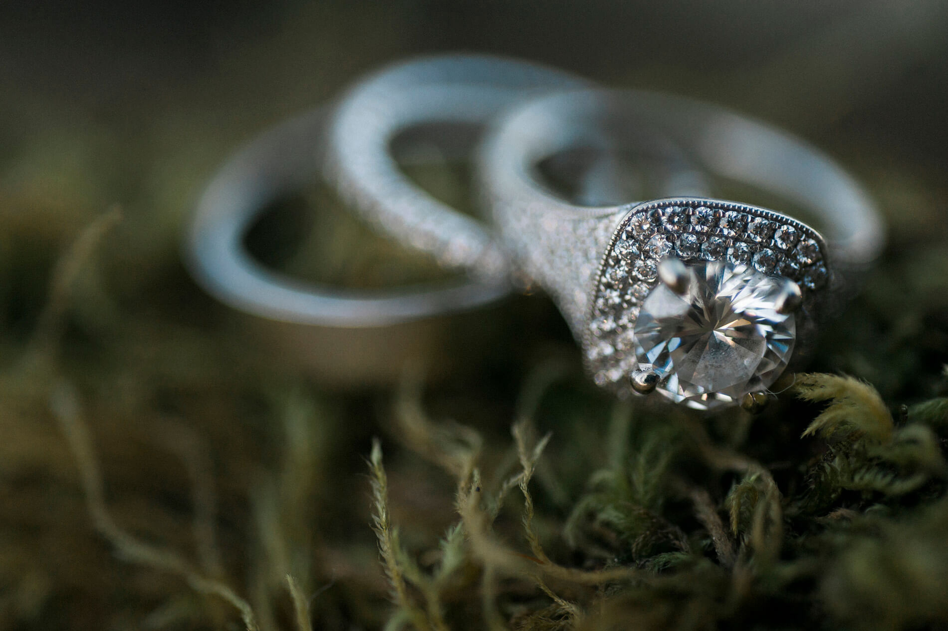 close up of bride and groom diamond wedding rings