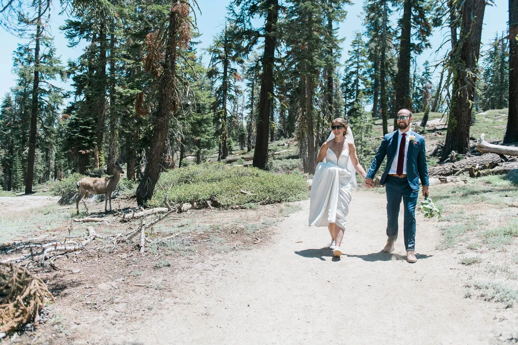bride and groom walking on trail next to deer on way to taft point photo shoot